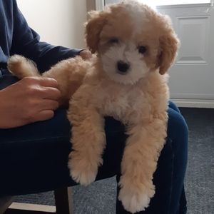 Meet your Posher, Danielle